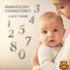 lucky vehicle numerology consultancy copy