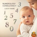 lucky vehicle numerology consultancy copy
