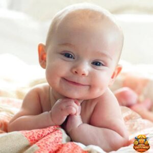 lucky vehicle numerology consultancy copy