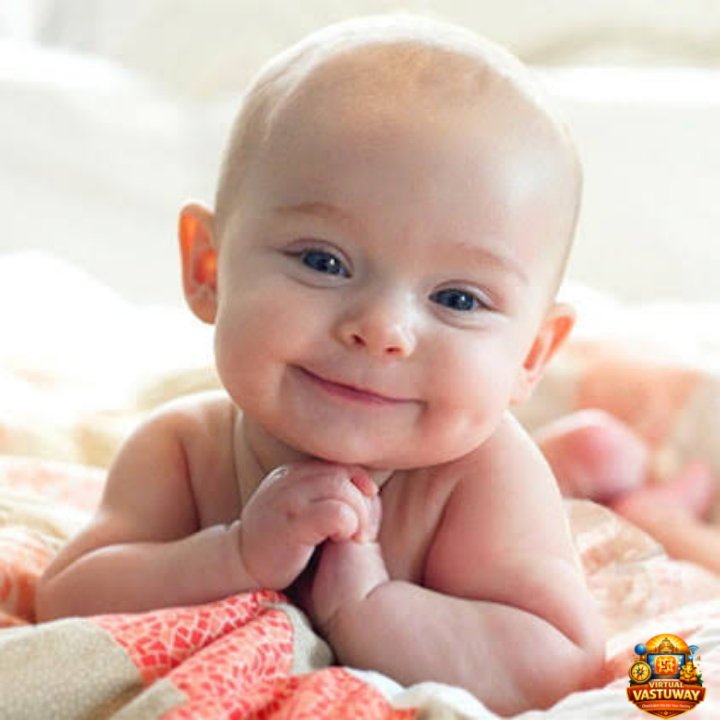 lucky vehicle numerology consultancy copy