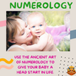 lucky vehicle numerology consultancy copy